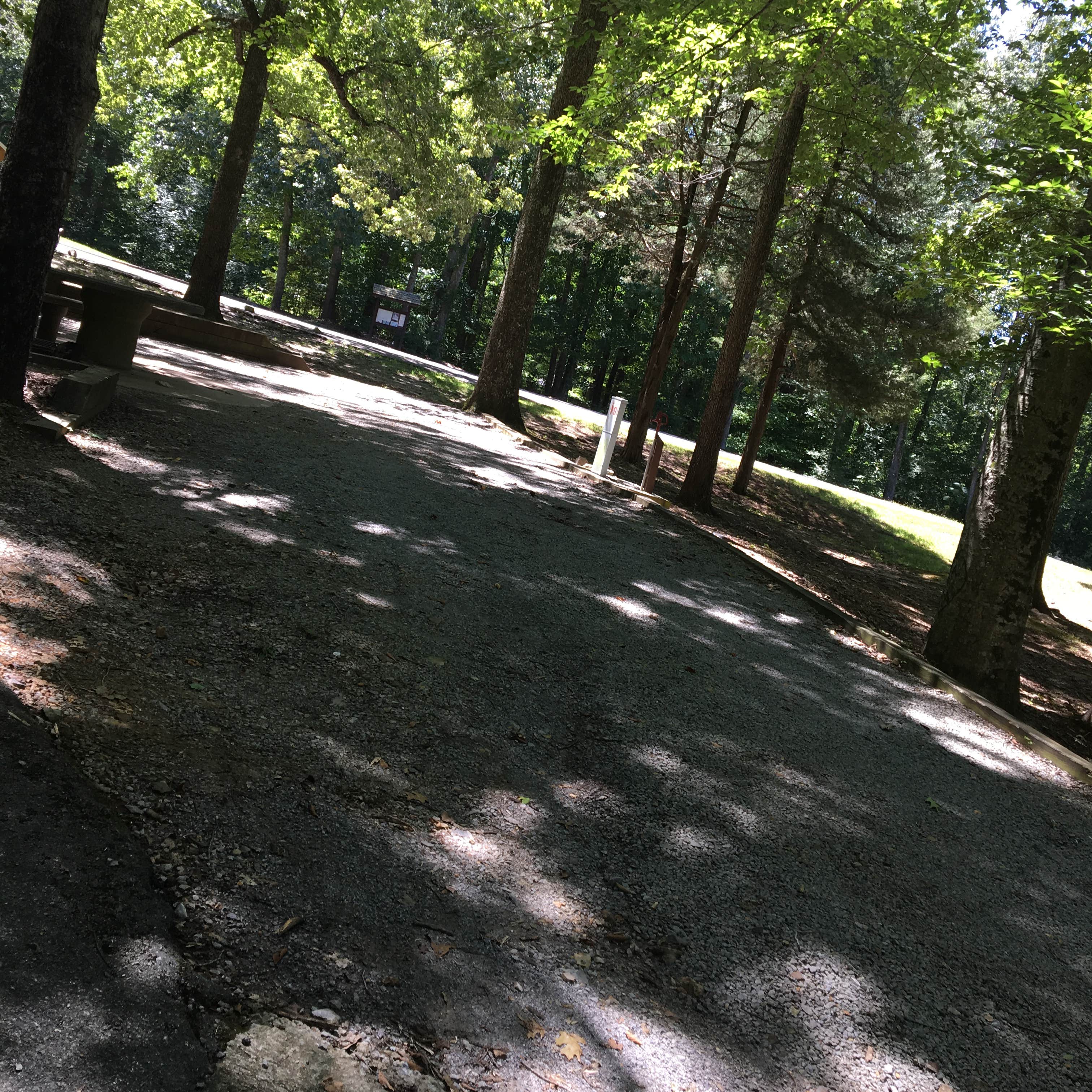 Bumpus Mills Camping The Dyrt