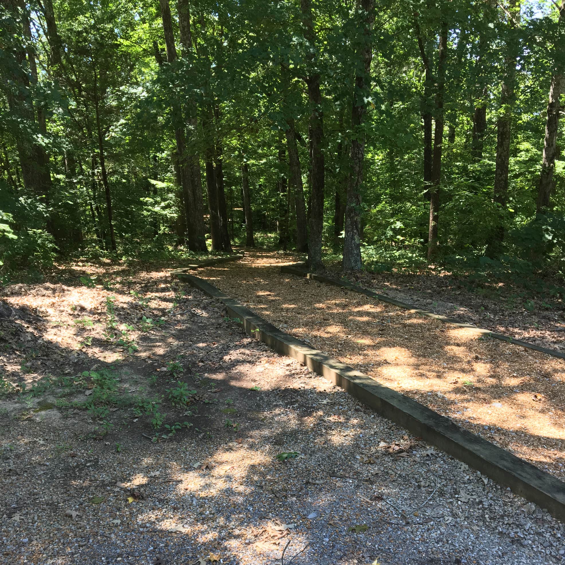 Bumpus Mills Camping The Dyrt