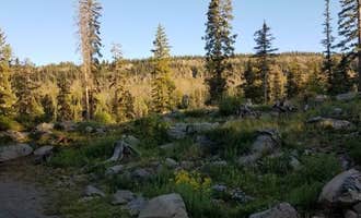 Camping near Weir and Johnson: Little Bear Campground, Mesa Lakes, Colorado