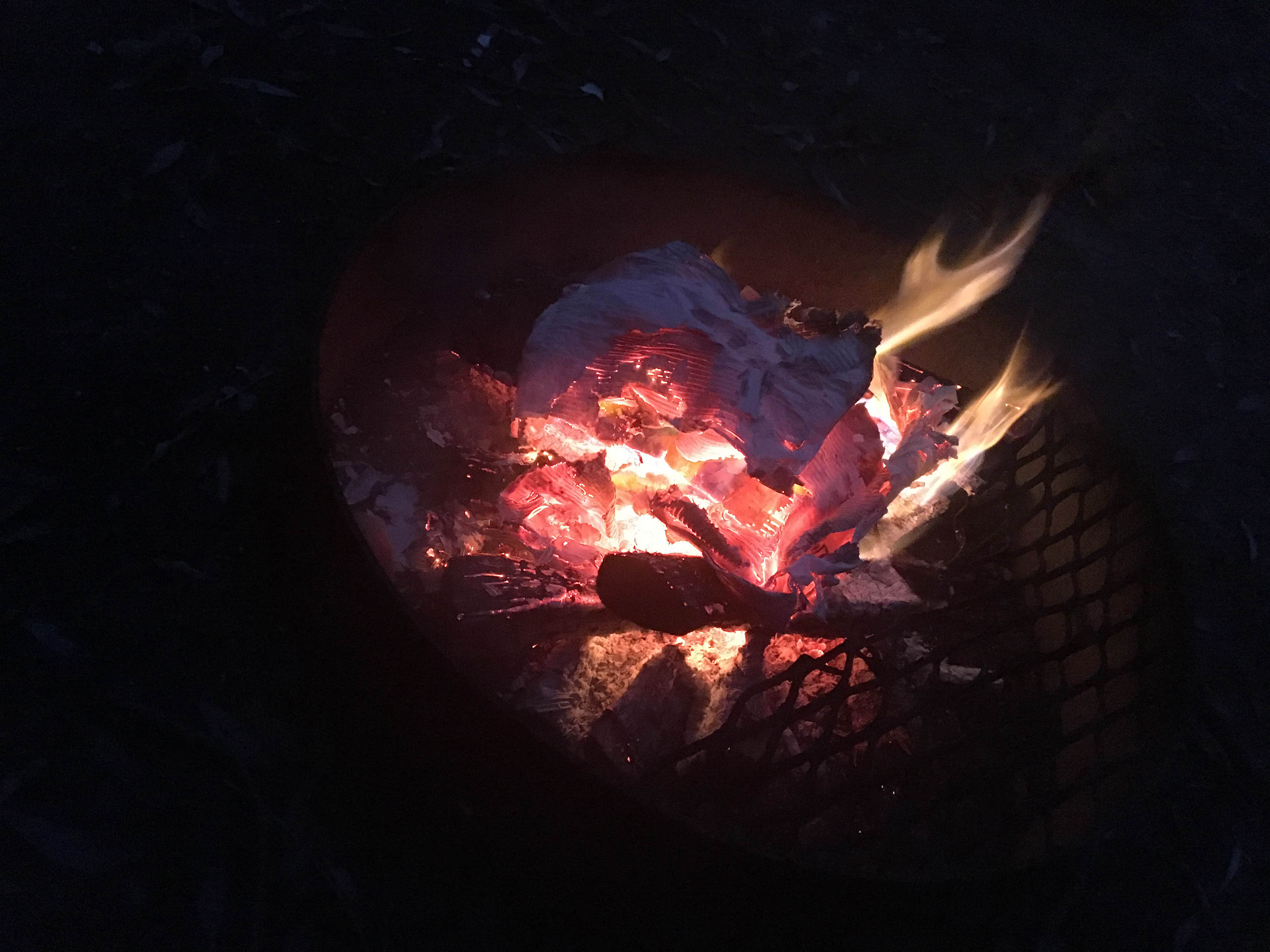 Shelly S.'s photo at Bumpus Mills near Hopkinsville, KY