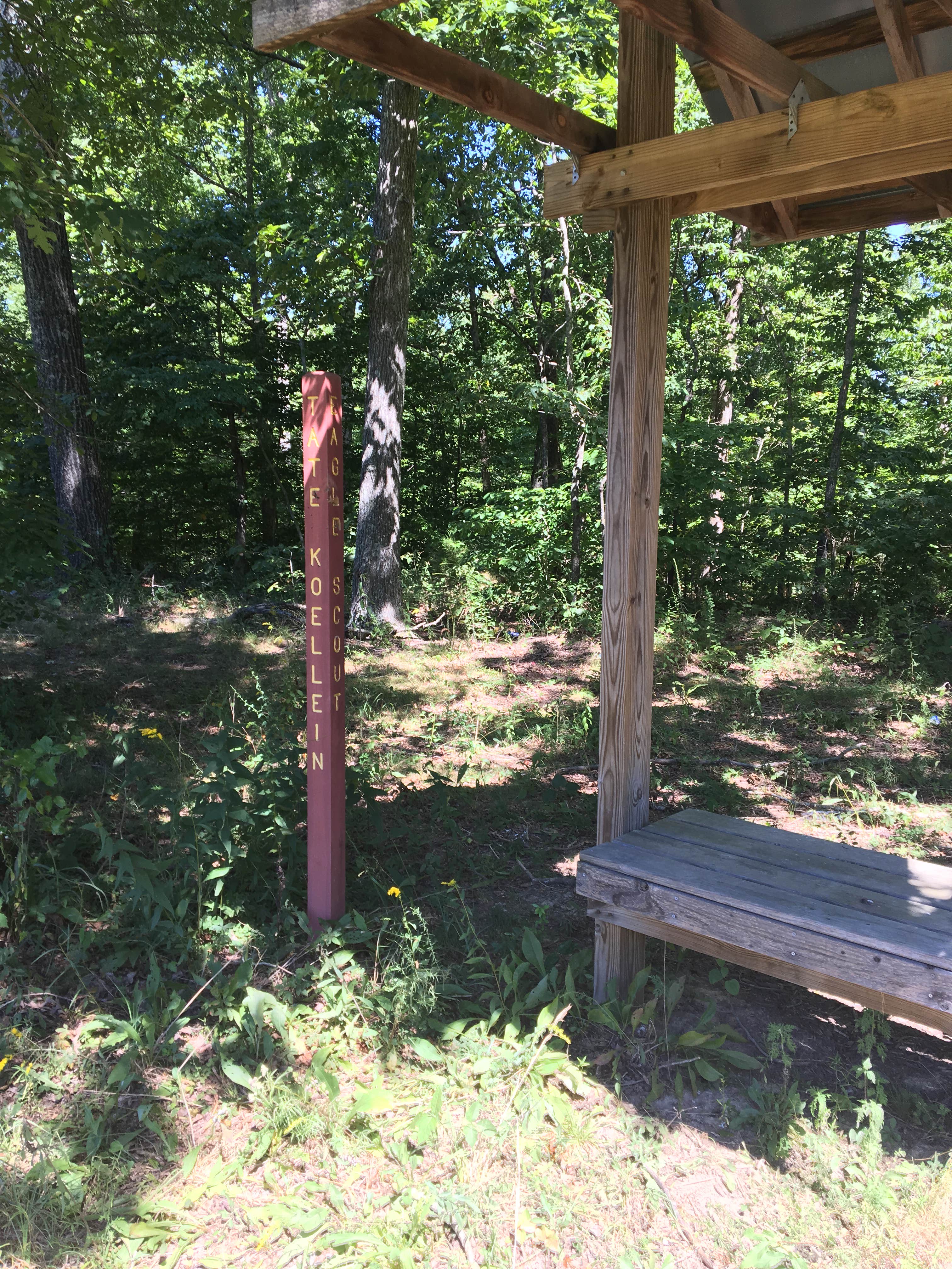 Camper submitted image from Stewart State Forest - 1