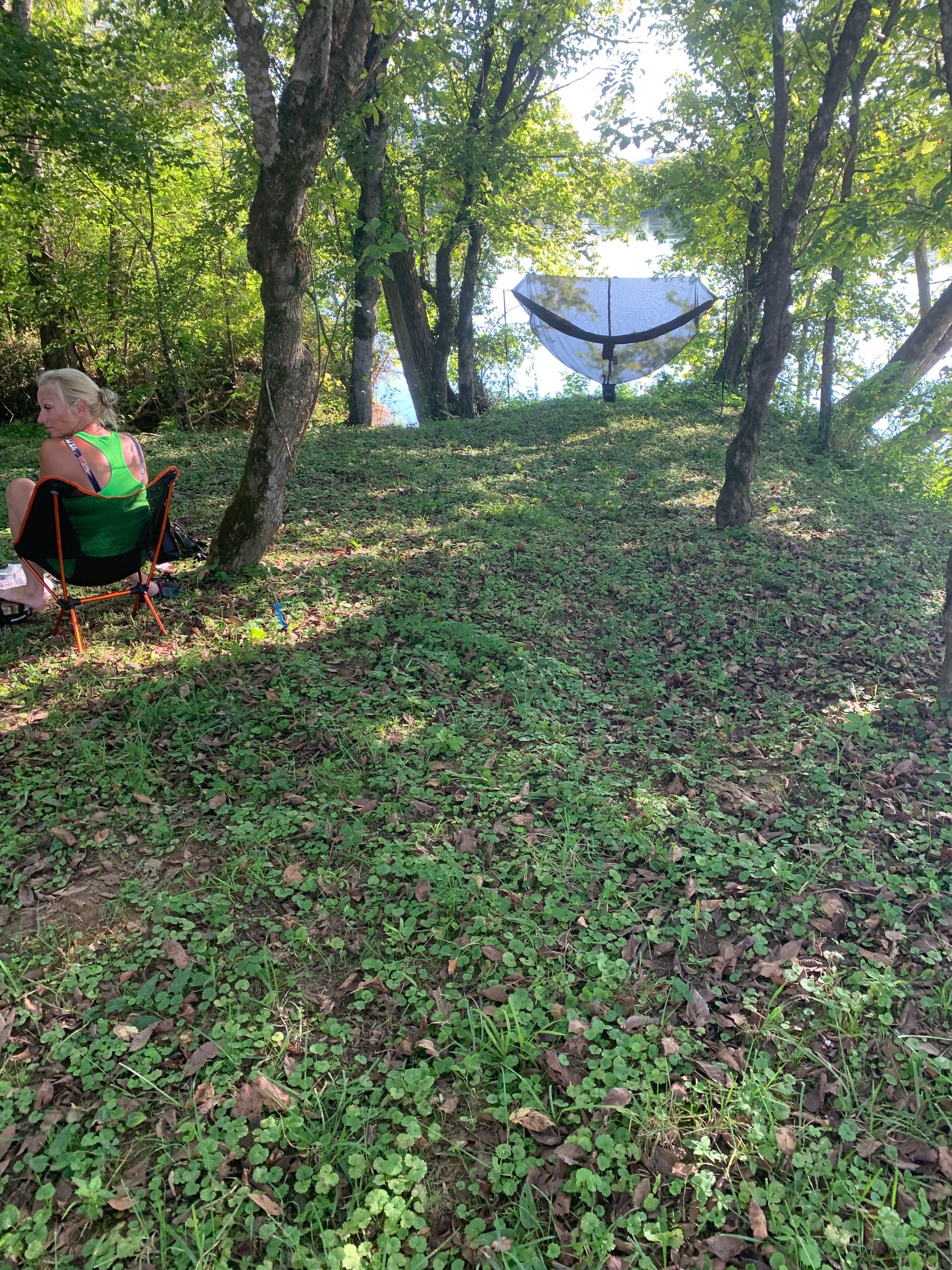 Camper submitted image from Holston River Bank - 2