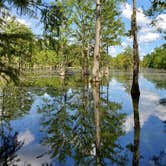 Review photo of Paradise Ranch RV Resort by Amanda B., September 8, 2019