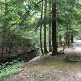 Review photo of Hickory Gap by Lori H., September 8, 2019