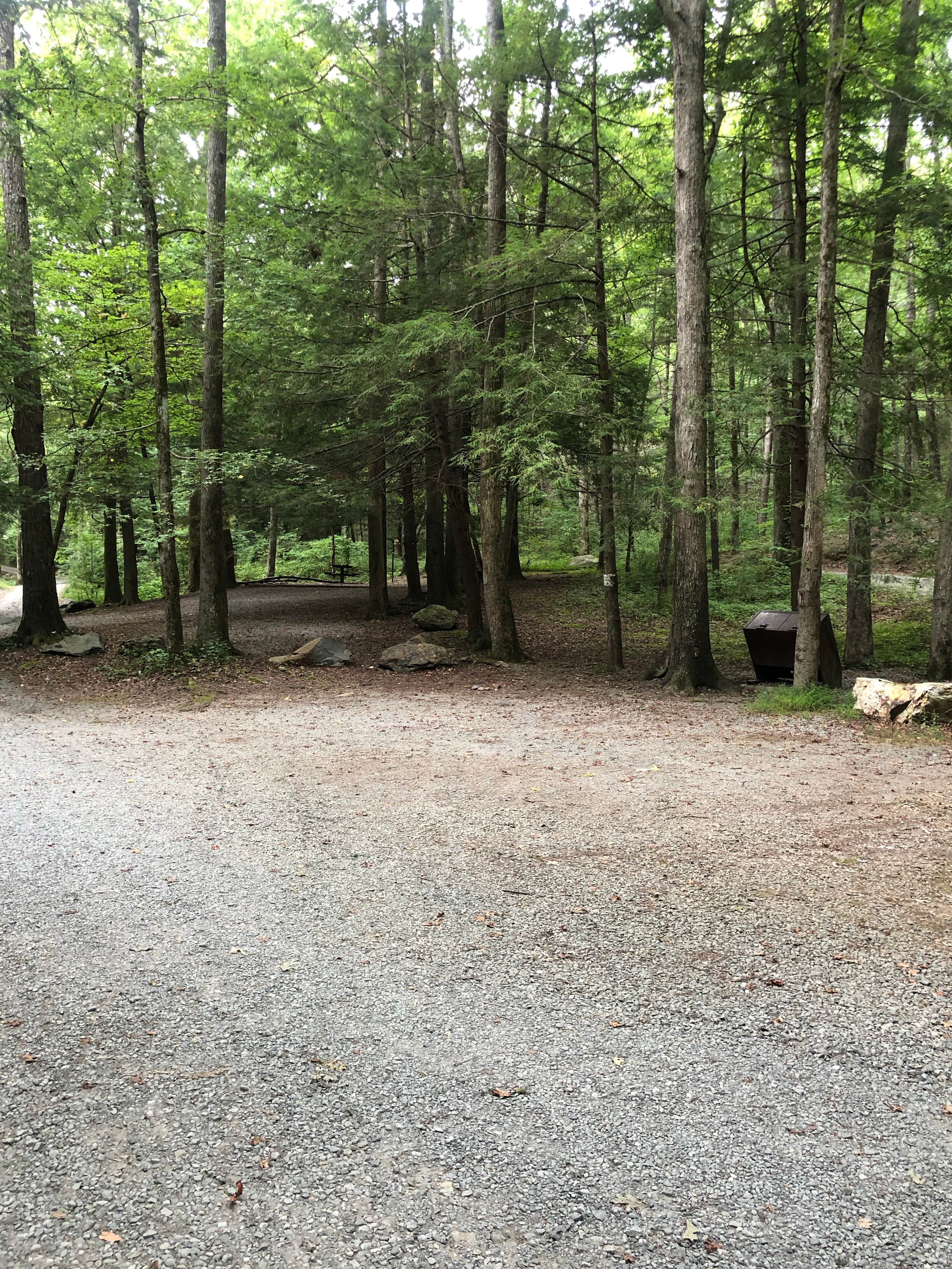 Camper submitted image from Hickory Gap - 2