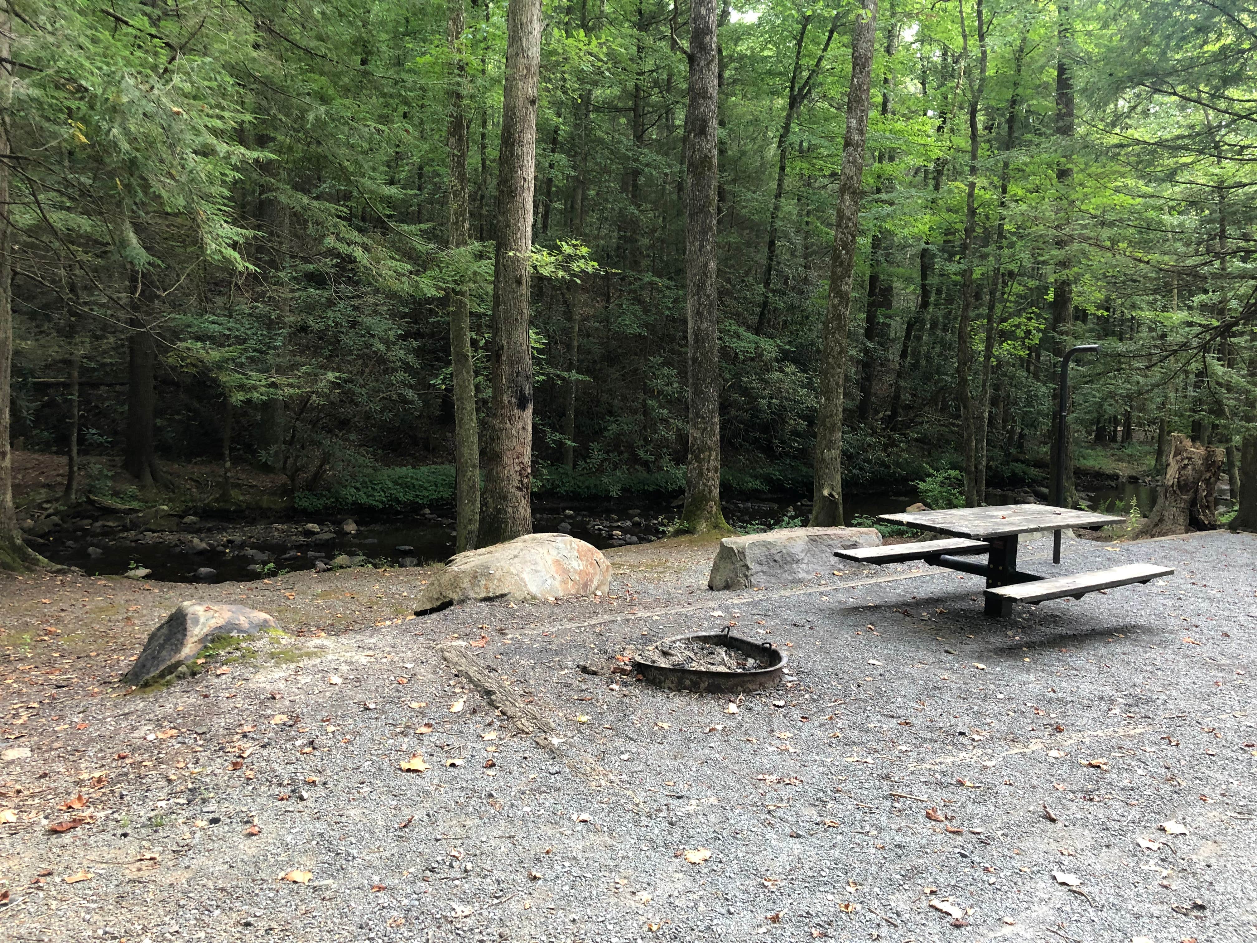 Camper submitted image from Hickory Gap - 3