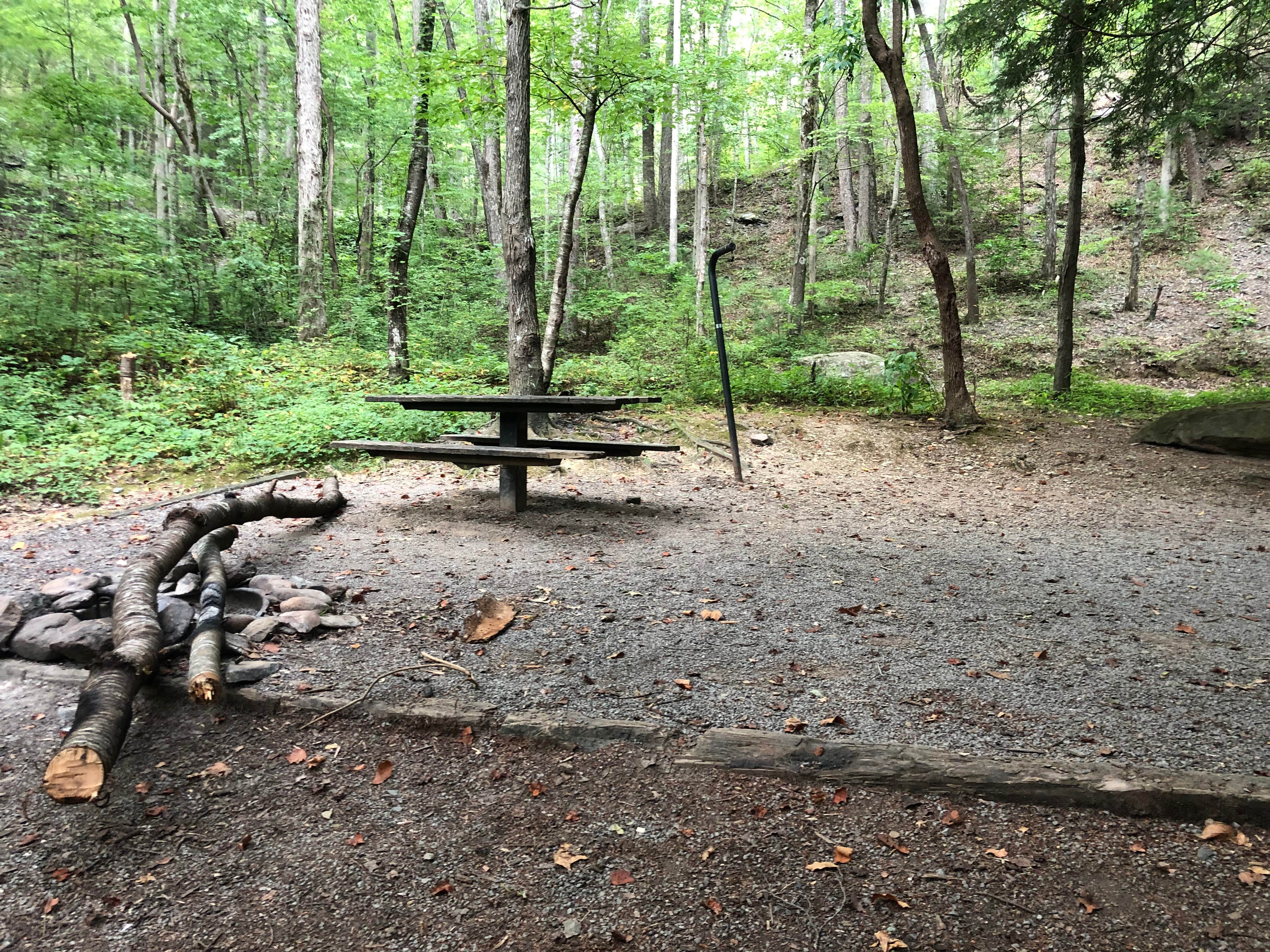 Camper-submitted photo at Hickory Gap near Chatsworth, GA