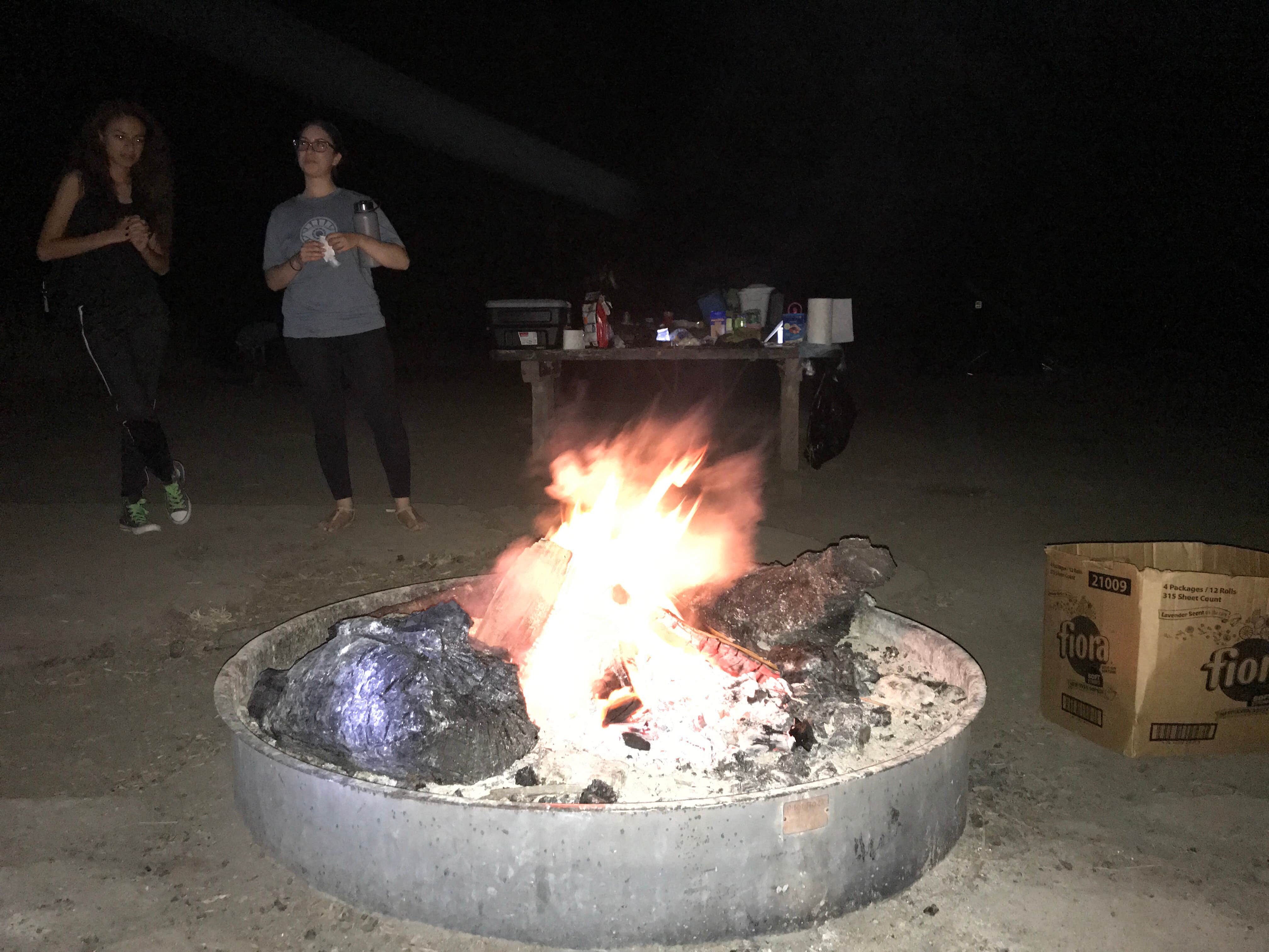 Camper submitted image from Falcon Group Campground - 2