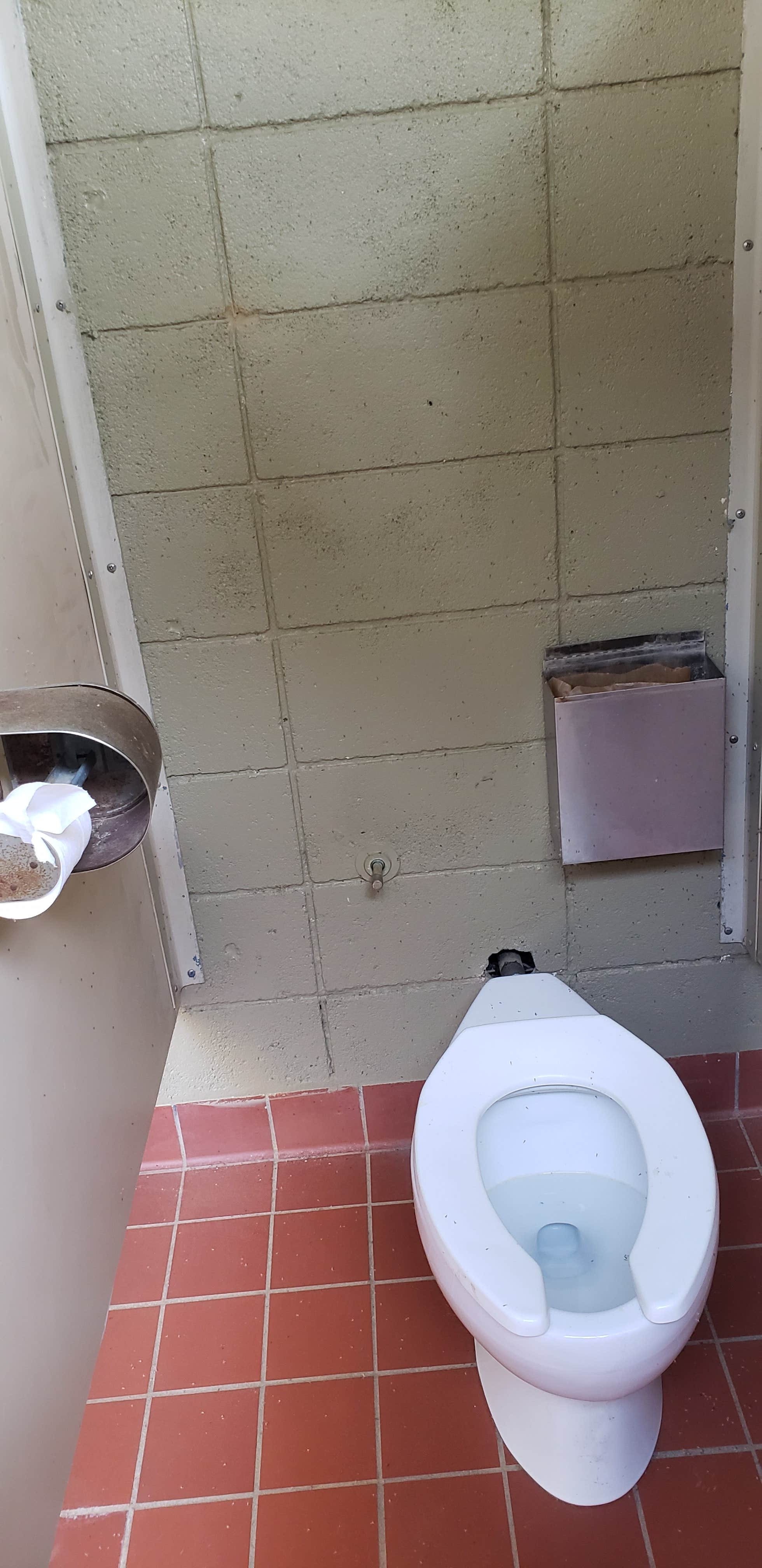 Camper submitted image from Atlanta State Park Campground - 3
