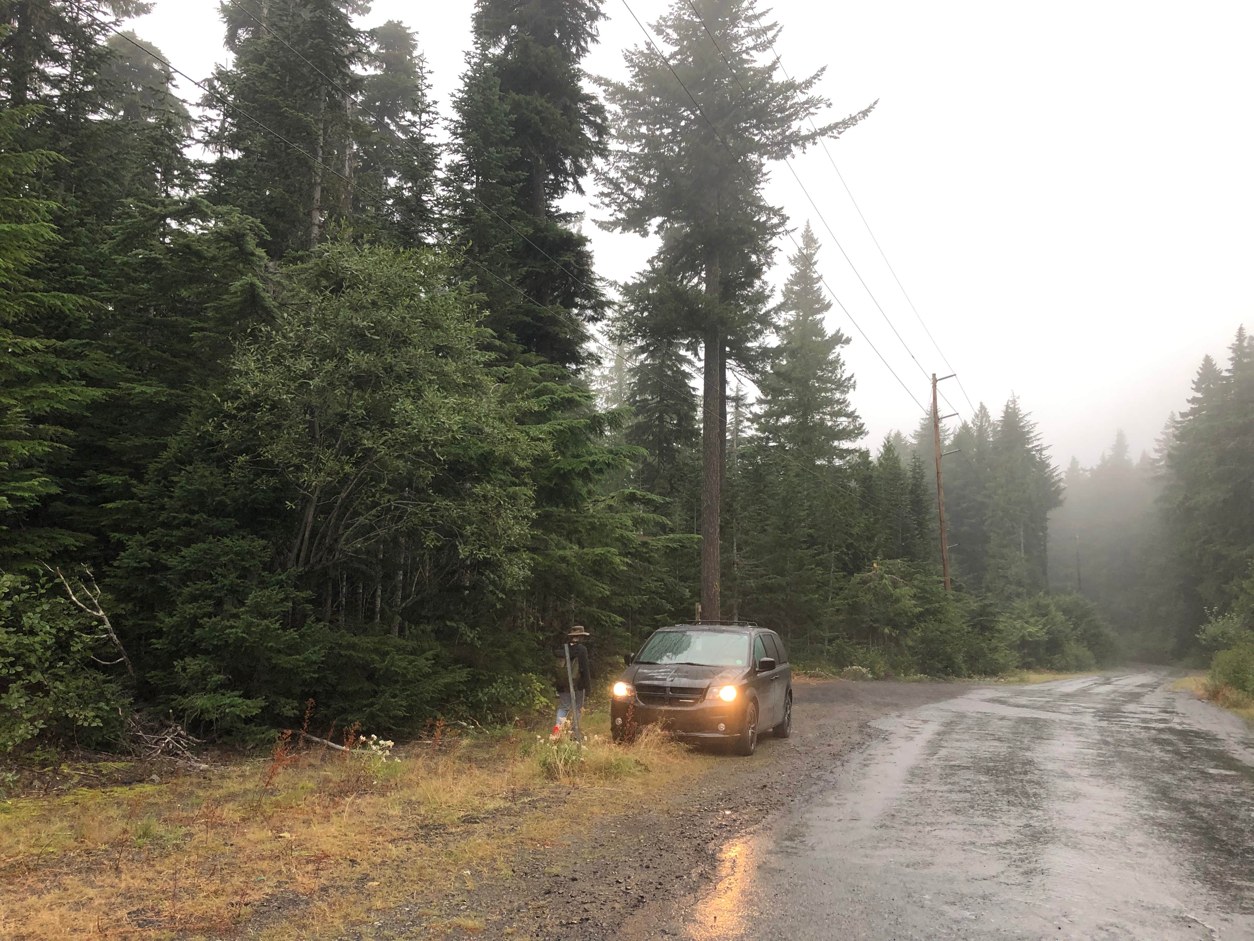 Camping near pinnacle Ridge dispersed camping: Kiwanis Road Free Camping, Government Camp, Oregon