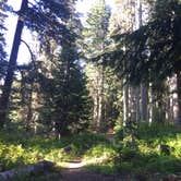 Review photo of Rainy Lake Campground by Bjorn S., September 8, 2019