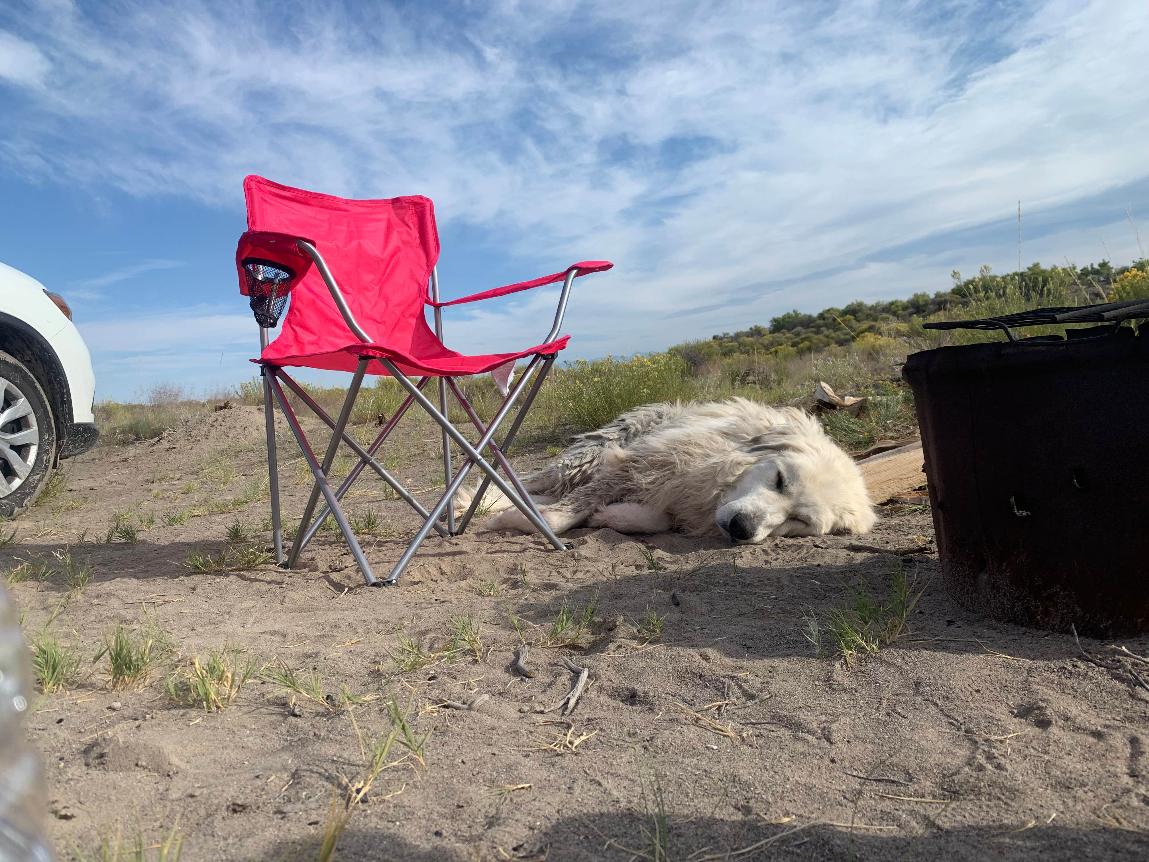 Lissa L.'s photo at Rabbit Hole Ranch near Mosca, CO