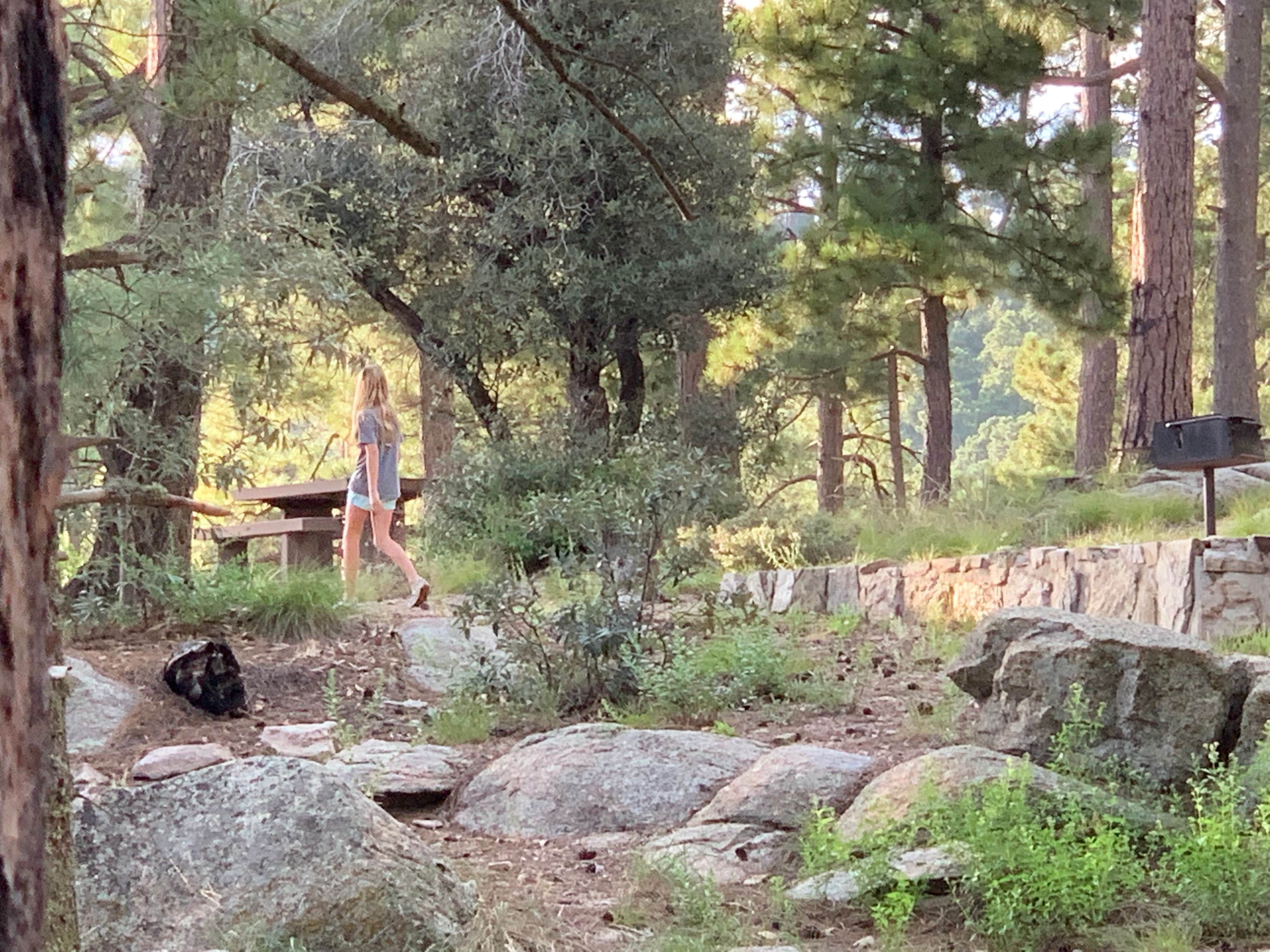 Camper-submitted photo at Spencer Canyon Campground near Saguaro National Park