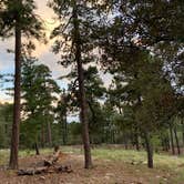 Review photo of Spencer Canyon Campground by Dray S., September 8, 2019