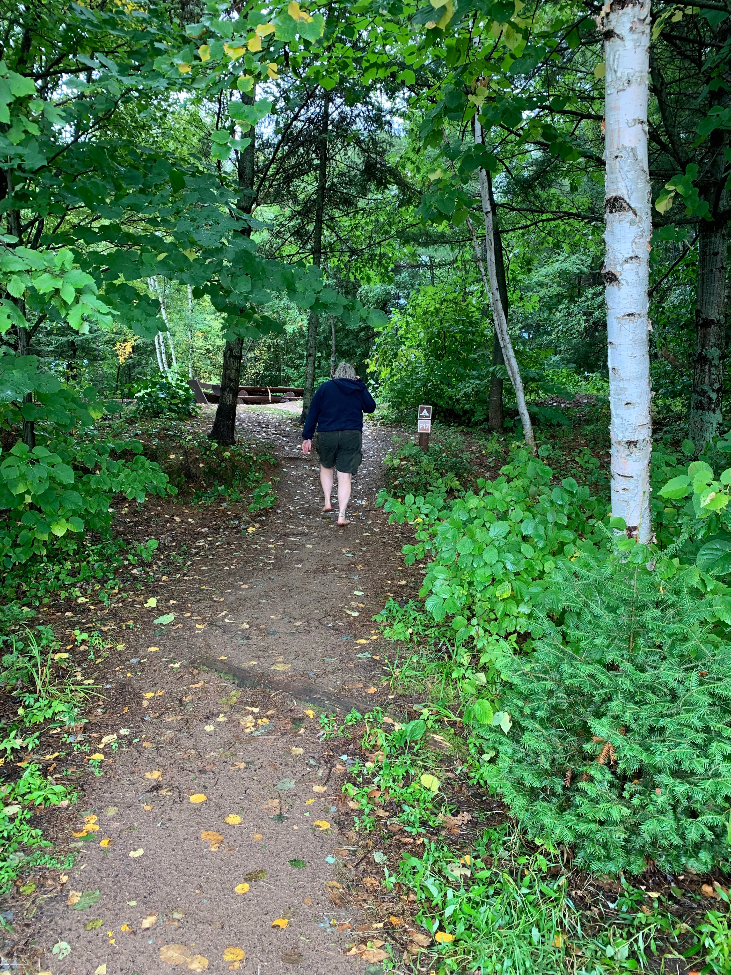 Camper-submitted photo at Turtle Flambeau Scenic Waters Area near Mercer, WI