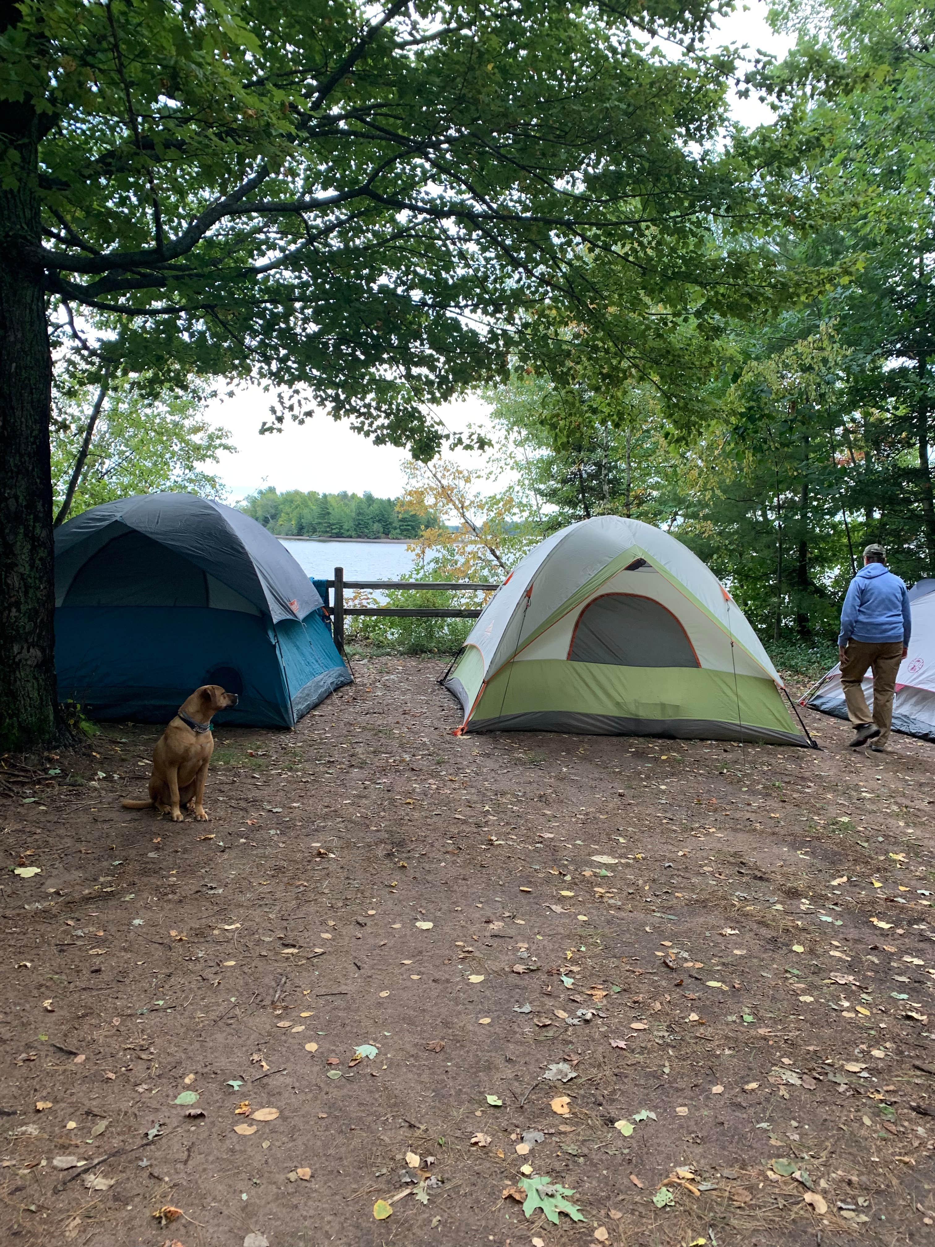 Camper-submitted photo at Turtle Flambeau Scenic Waters Area near Minocqua, WI