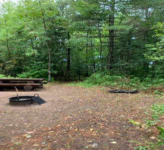 Camper-submitted photo from Turtle Flambeau Scenic Waters Area