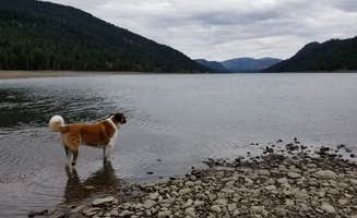 Mitchell F.'s photo of camping with pets at Indian Creek (WA) near Goose Prairie, WA