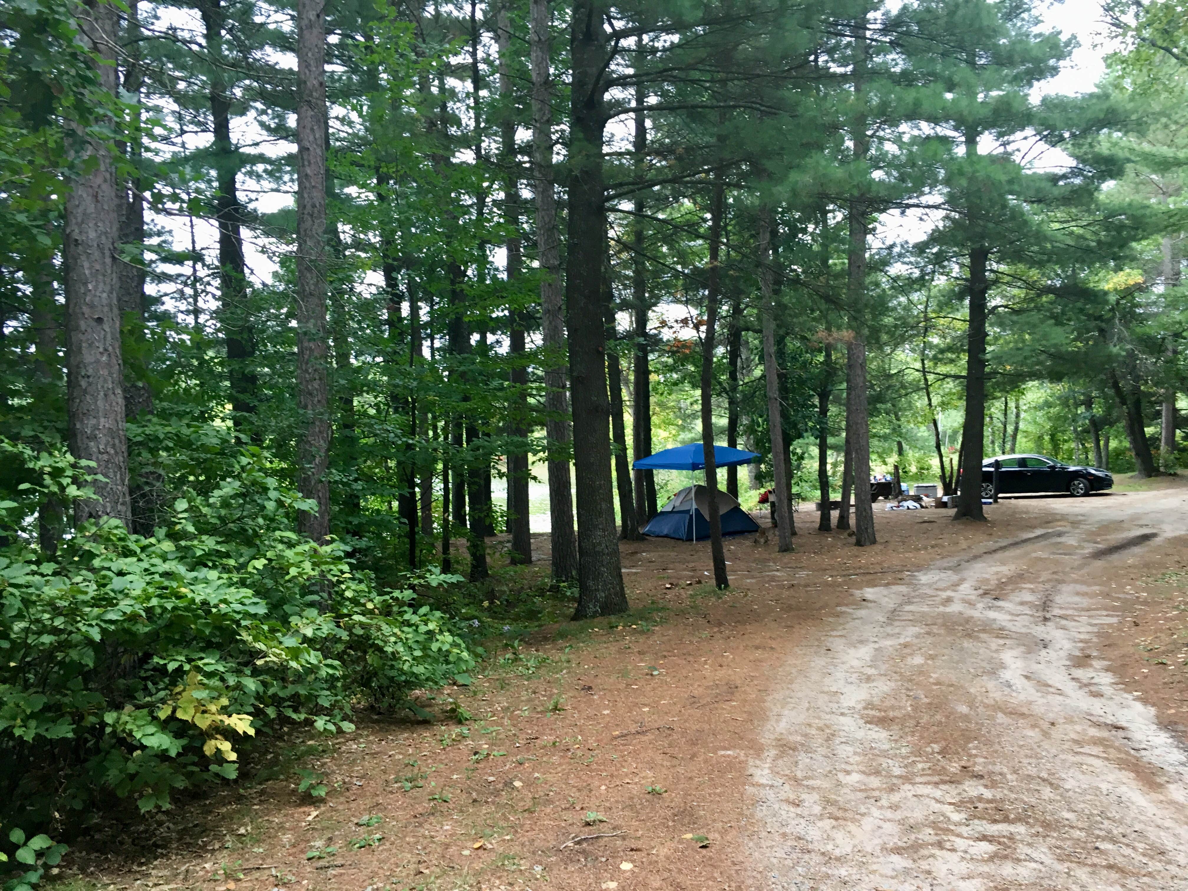 Camper submitted image from Hungry Man Forest Campground - 5