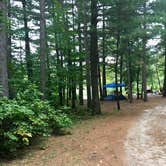 Review photo of Hungry Man Forest Campground by Janet R., September 8, 2019