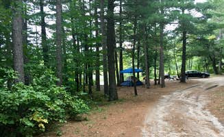 Janet R.'s photo at Hungry Man Forest Campground near Nevis, MN