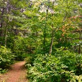 Review photo of Hungry Man Forest Campground by Janet R., September 8, 2019