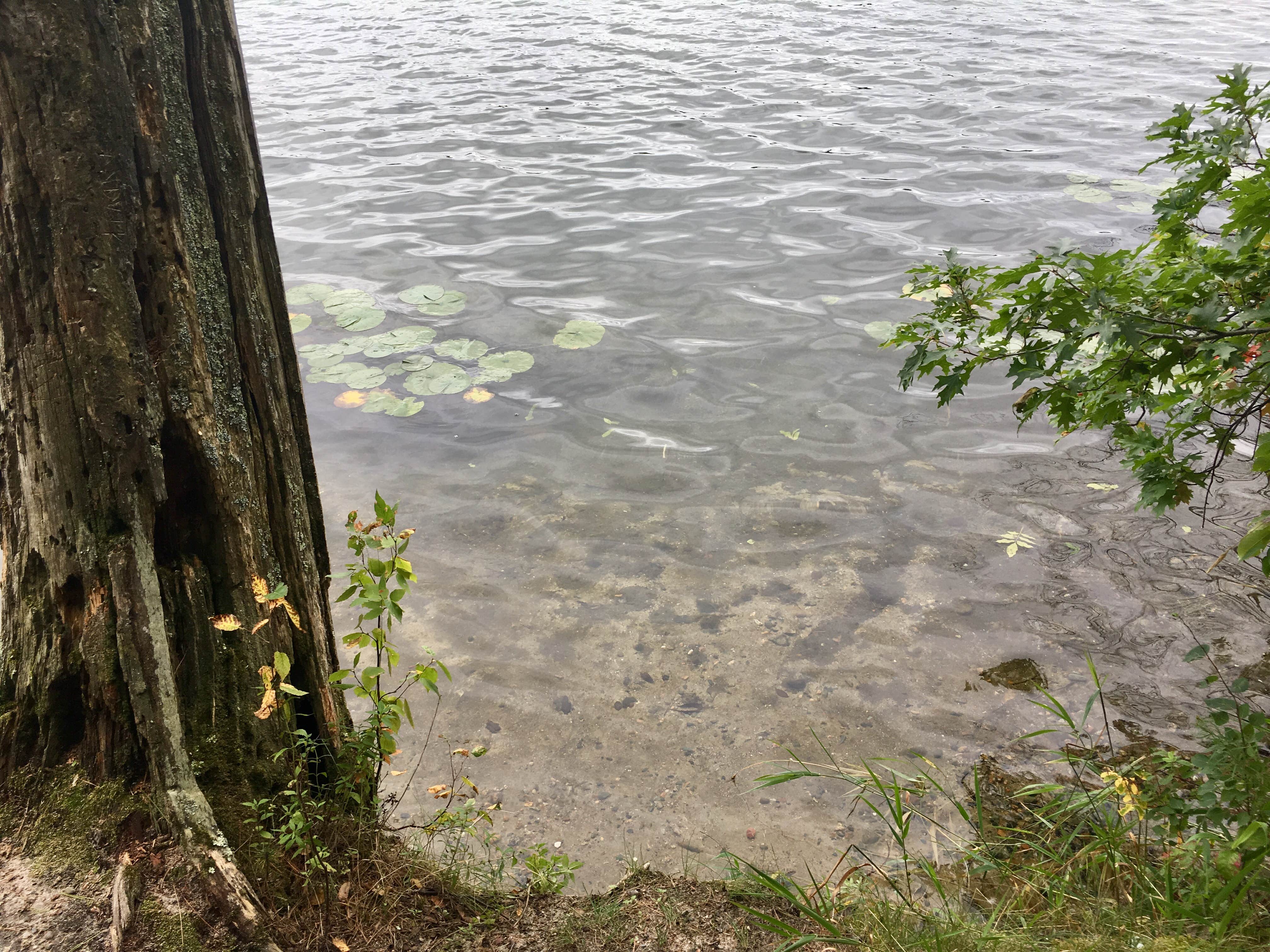 Camper-submitted photo at Hungry Man Forest Campground near Park Rapids, MN