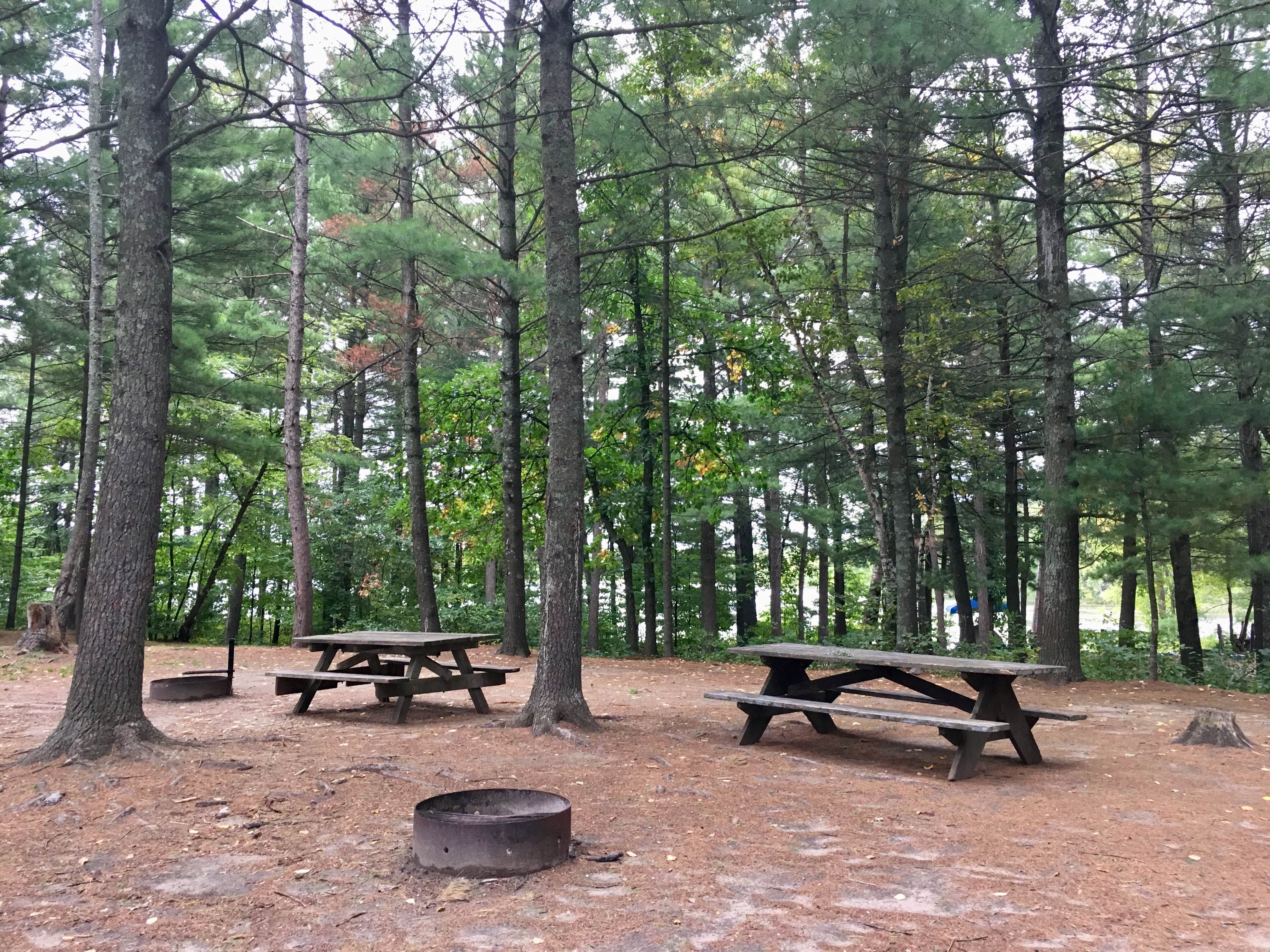 Camping near DeSoto Lake Backpacking Sites — Itasca State Park: Hungry Man Forest Campground, Park Rapids, Minnesota