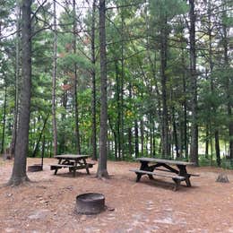 Hungry Man Forest Campground