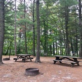 Review photo of Hungry Man Forest Campground by Janet R., September 8, 2019