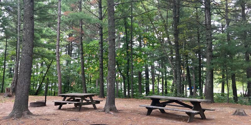 Camper submitted image from Hungry Man Forest Campground