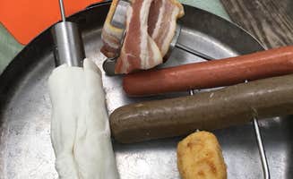 Janet R.'s photo of camping with pets at Hungry Man Forest Campground near Midway, MN