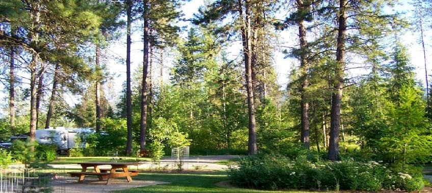 Camper-submitted photo at Trout Creek Motel & RV Park near Saltese, MT
