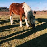 Review photo of Hickory Ridge Campground — Grayson Highlands State Park by Erin S., September 9, 2019