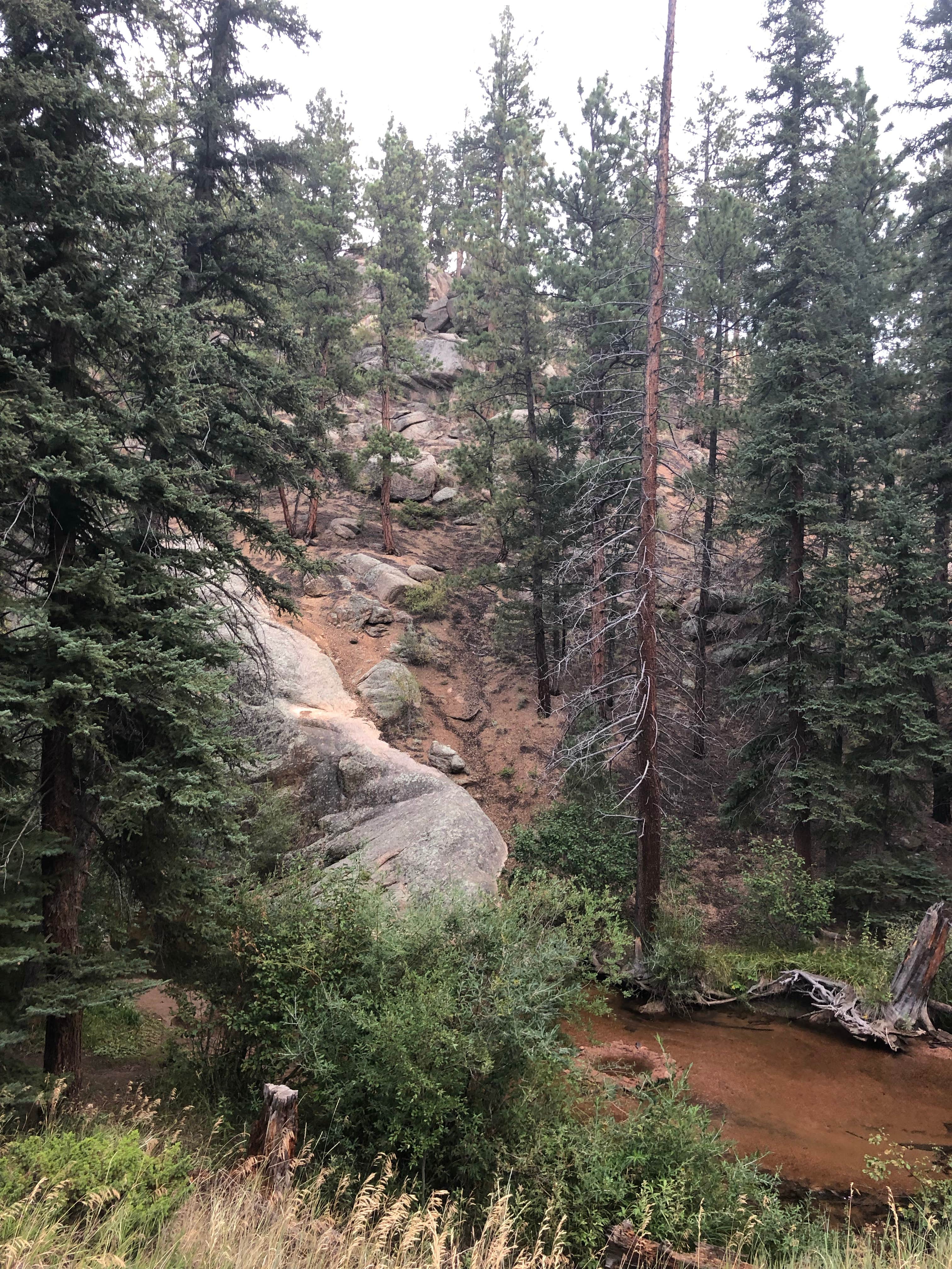 Camper-submitted photo at Goose Creek Campground near Deckers, CO