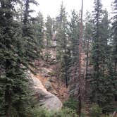 Review photo of Goose Creek Campground by Jeremy H., September 9, 2019