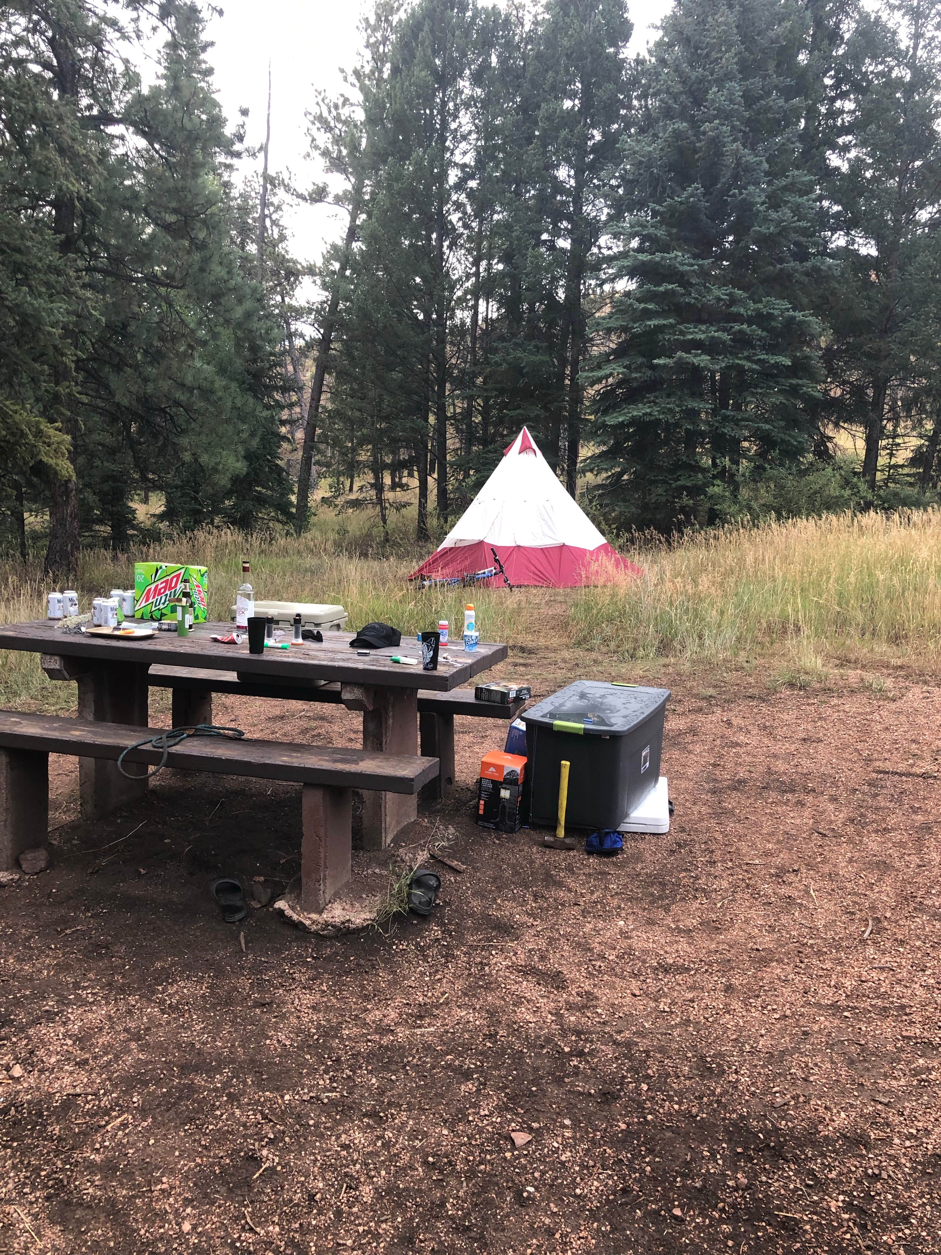 Camping near Spruce Grove Campground: Goose Creek Campground, Deckers, Colorado