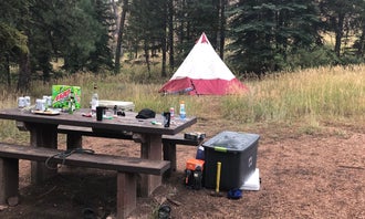 Camping near Molly Gulch: Goose Creek Campground, Deckers, Colorado