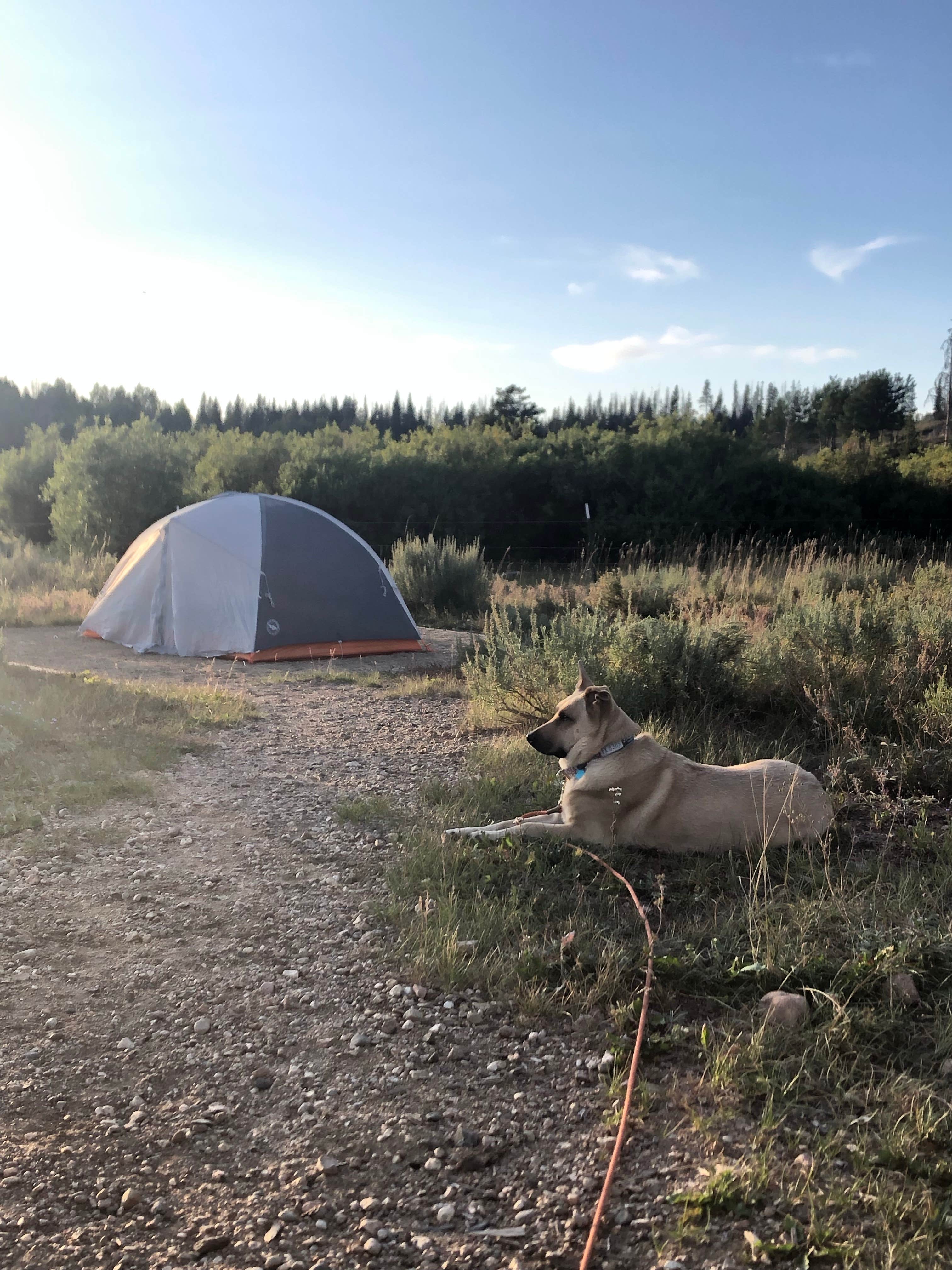 Holly S.'s photo at Bockman Campground — State Forest State Park near Gould, CO
