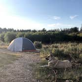 Review photo of Bockman Campground — State Forest State Park by Holly S., September 9, 2019