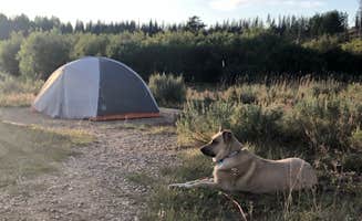 Holly S.'s photo at Bockman Campground — State Forest State Park near Gould, CO
