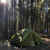 Review photo of Canyon Campground — Yellowstone National Park by Kayla S., September 9, 2019