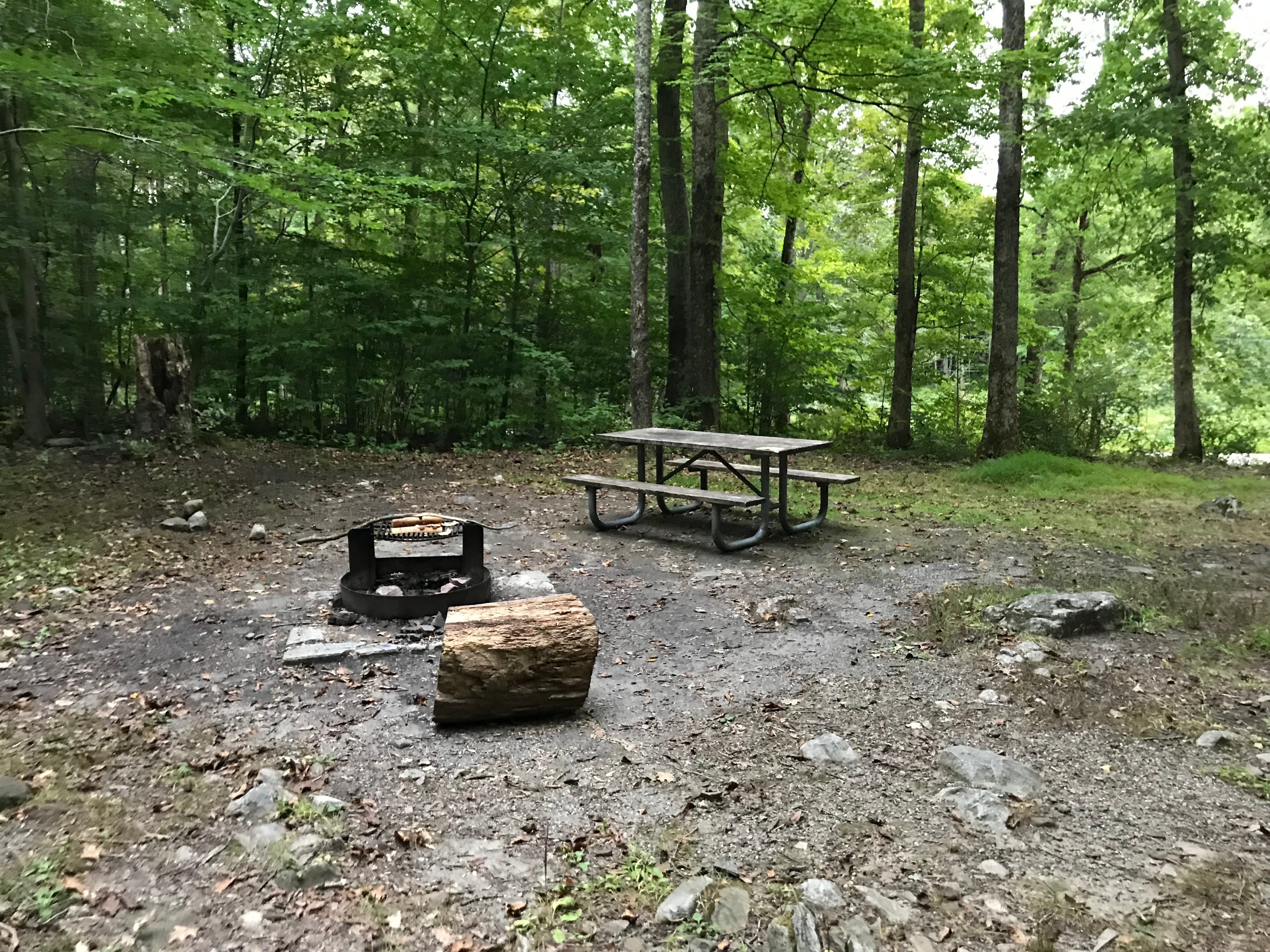 Camper submitted image from Stokes State Forest - 1