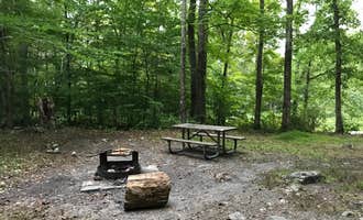 Camping near Namanock Island — Delaware Water Gap National Recreation Area: Stokes State Forest, Layton, New Jersey