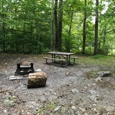 Review photo of Stokes State Forest by E. M. V., September 9, 2019