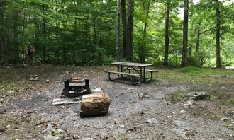 Camping near Dingmans Shallows Campground — Delaware Water Gap National Recreation Area: Stokes State Forest, Layton, New Jersey