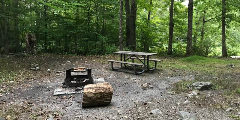 Camper submitted image from Stokes State Forest