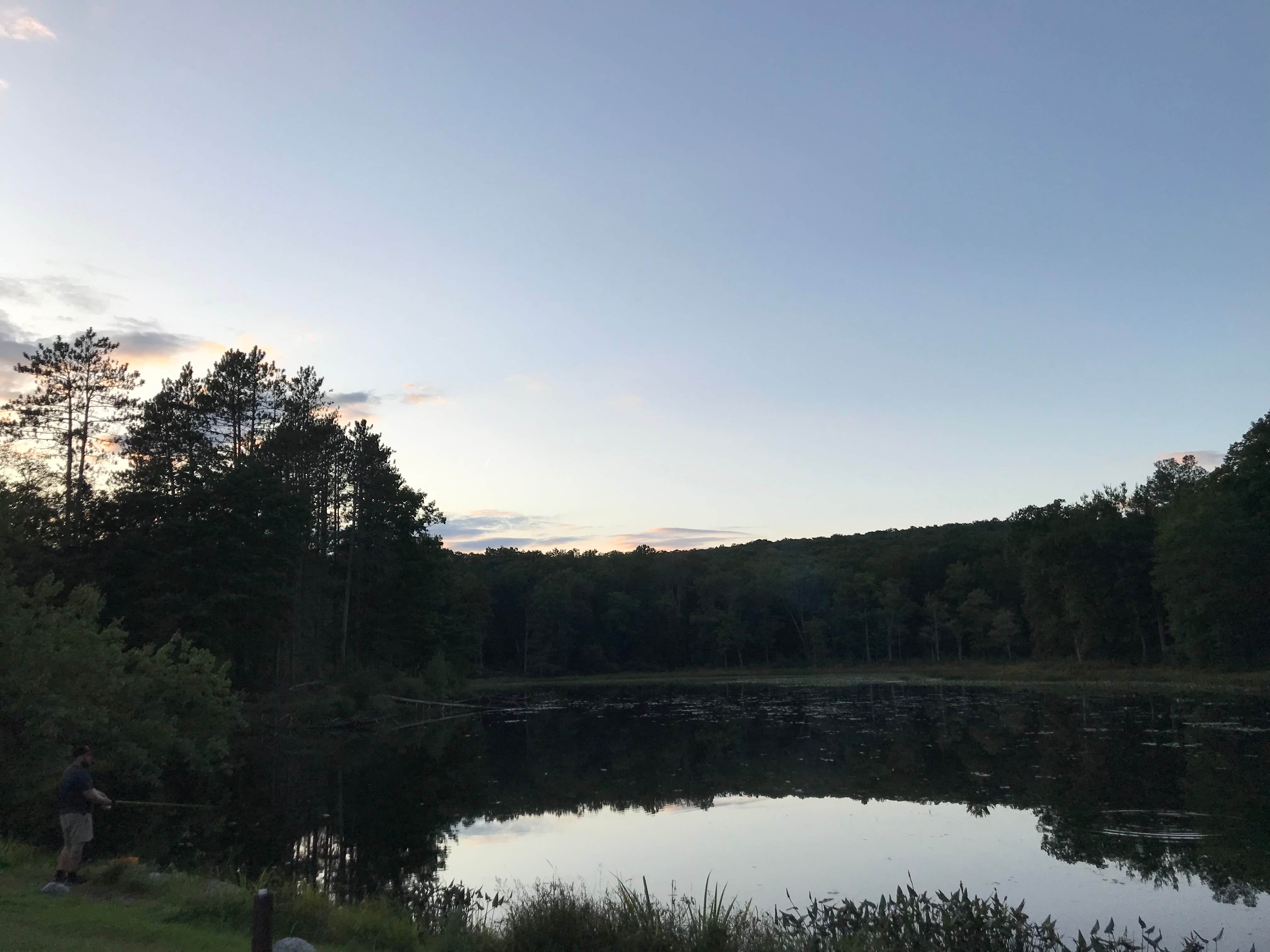 View All