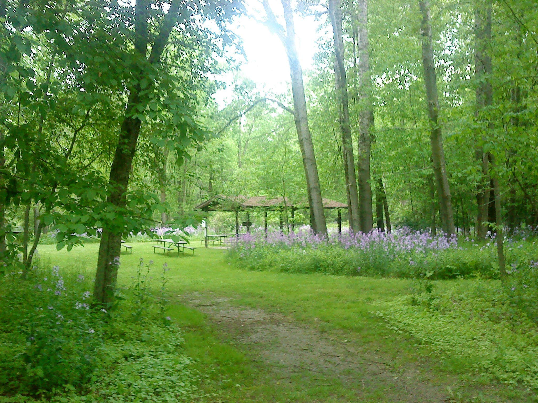 Camper submitted image from Harrington Beach State Park Campground - 2