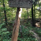 Review photo of Pharoah - Garden of the Gods Rec Area Campground by Todd H., September 9, 2019